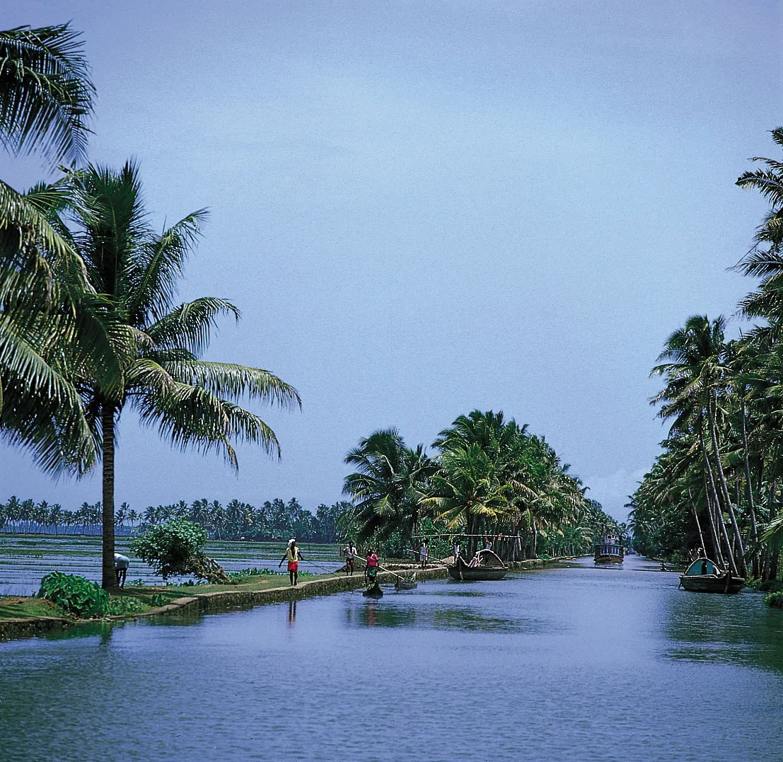 Kerala awaits you this winter. Plan your trip now!