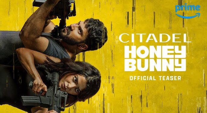 Citadel: Honey Bunny