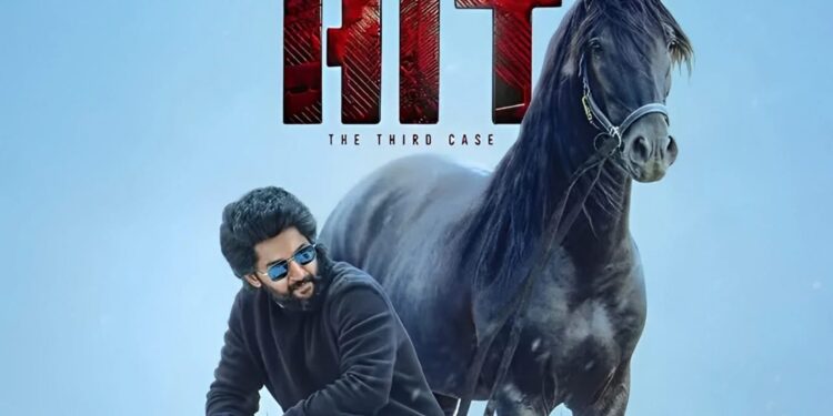 HIT 3: Nani’s Big Birthday Bonanza!